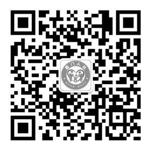 00300363340_50695232.jpg